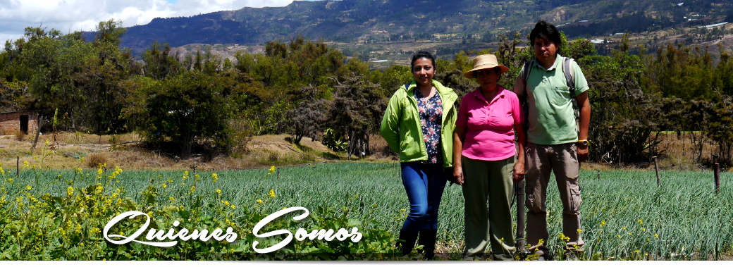 Quienes somos